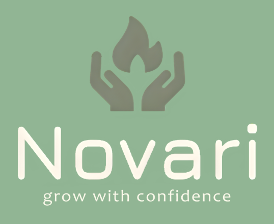 Novari project screenshot